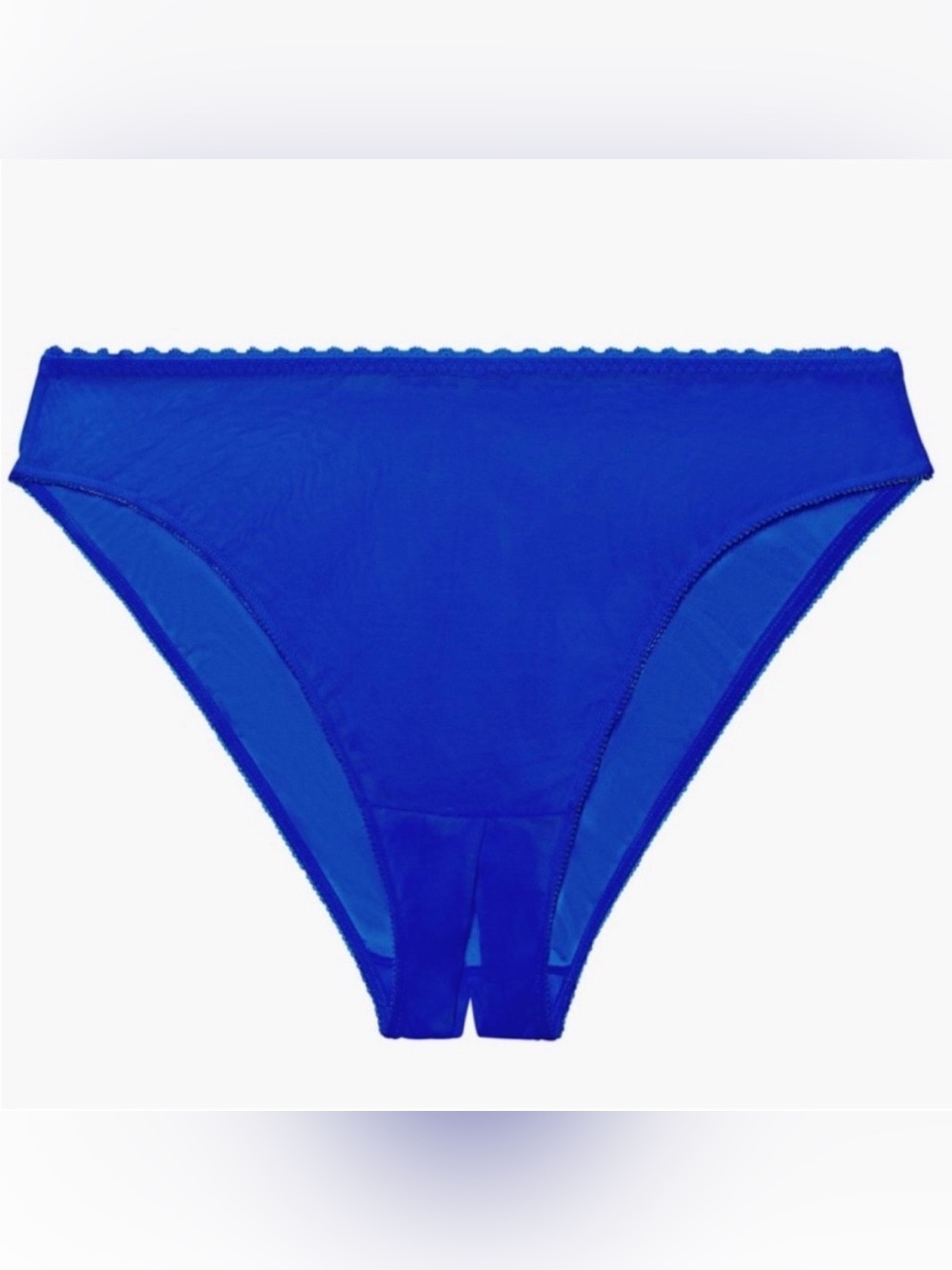 Savage X Fenty Royal Blue Mesh Crotchless Panty